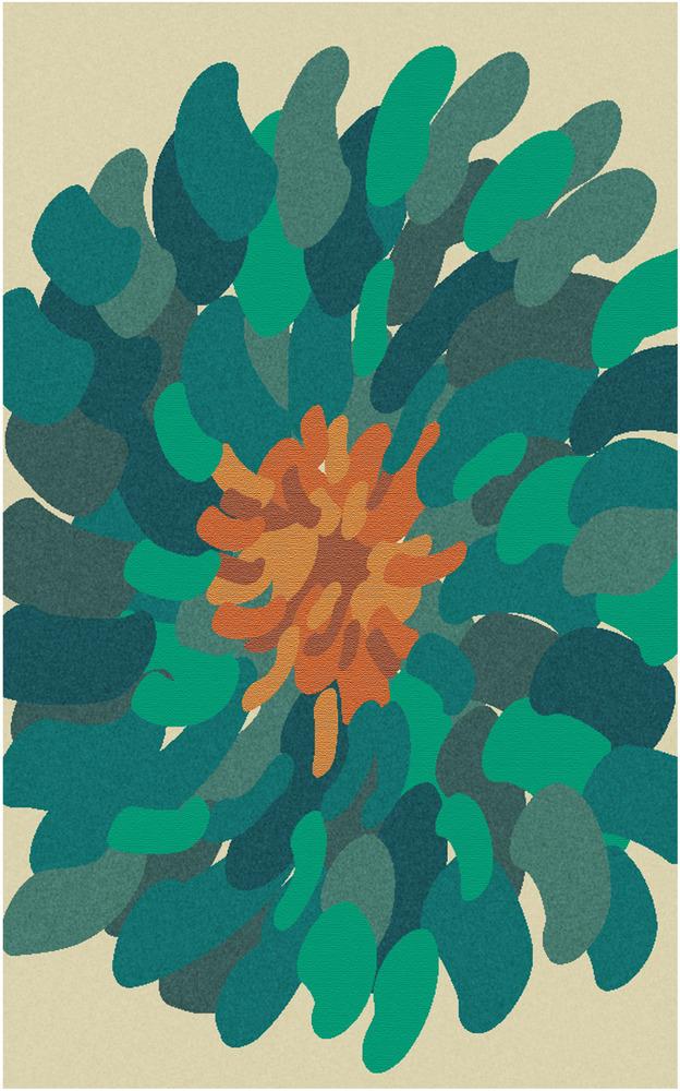 Collection Thumbnail